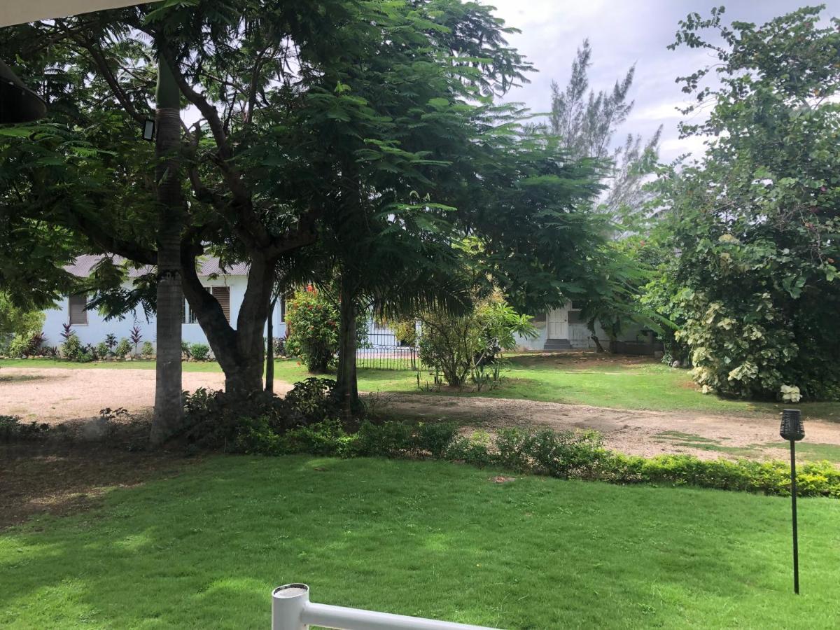 Airport Beach Hotel 蒙特哥贝 外观 照片